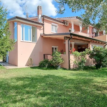 Appartamento Stelia Novigrad Istria Esterno foto